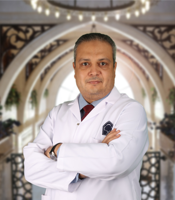                 Ahmed T. Harby
              