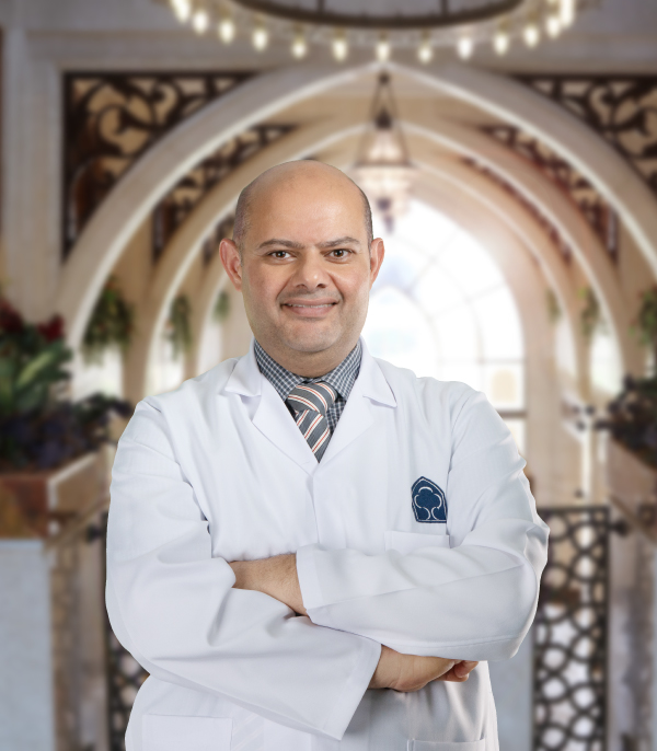             Amir F. Amer
          