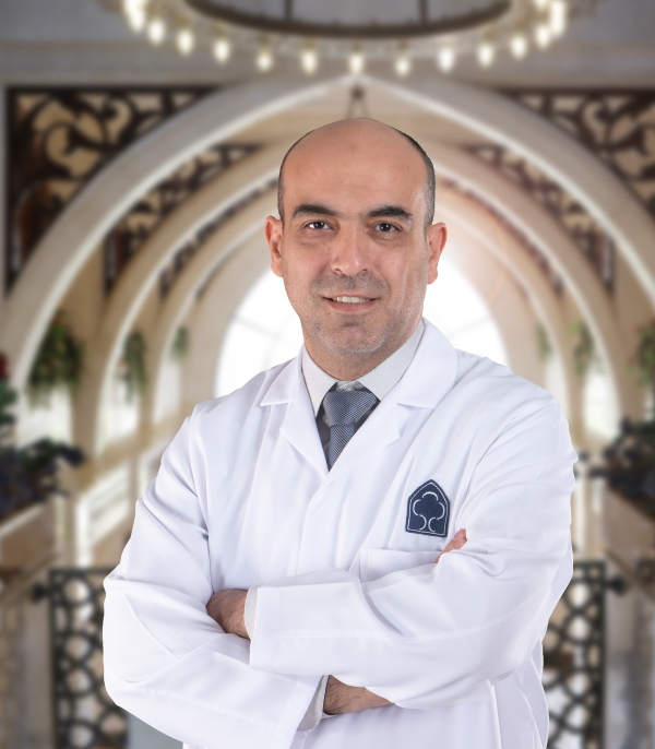             Mohamed Moustafa
          